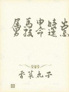 属马申时出生的男孩命运怎么样