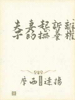 夫妻起诉离婚孩子的抚养权怎么争取