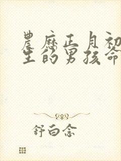 农历正月初一出生的男孩命运