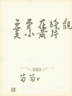 免费在线观看欧美小黄片