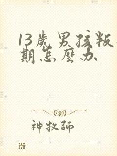 13岁男孩叛逆期怎么办封面