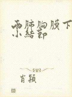 两肺胸膜下实性小结节