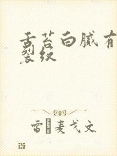 舌苔白腻有齿痕裂纹封面