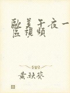 欧美午夜一区二区视频