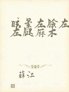 眩晕左脸左胳膊左腿麻木