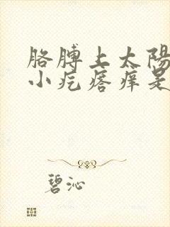 胳膊上太阳晒出小疙瘩痒是什么原因