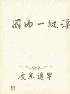 国内一级淫片
