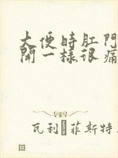 大便时肛门跟裂开一样很痛流血