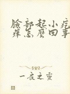 脸部起小疙瘩很痒怎么回事