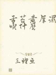 舌苔黄厚湿气重吃什么