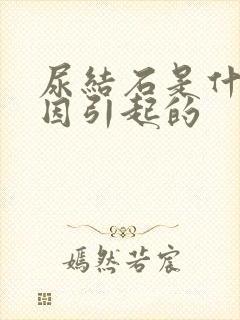 尿结石是什么原因引起的