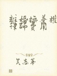 离婚抚养权官司律师费用