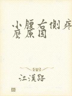 小腹右侧疼痛什么原因