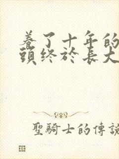 养了十年的小丫头终于长大了