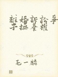 离婚诉讼争夺孩子抚养权