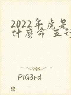 2022年虎是什么命 五行属什么封面