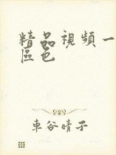 精品视频一区二区色