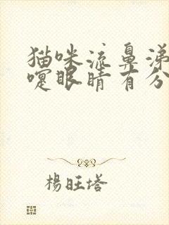 猫咪流鼻涕打喷嚏眼睛有分泌物食欲又很好