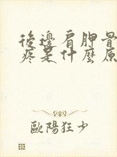 后边肩胛骨后背疼是什么原因引起的