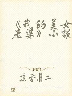 《我的美女总裁老婆》小说