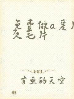 免费做a爰片久久毛片