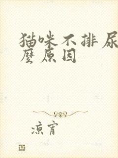 猫咪不排尿是什么原因