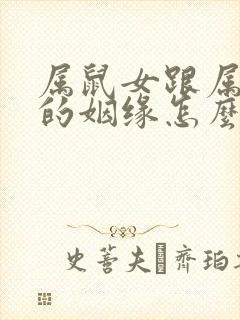 属鼠女跟属龙男的姻缘怎么样