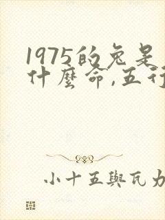 1975的兔是什么命,五行属性封面