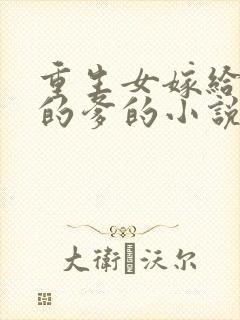 重生女嫁给老公的爹的小说封面