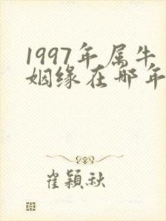 1997年属牛姻缘在哪年