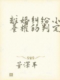 离婚纠纷小孩抚养权的判定