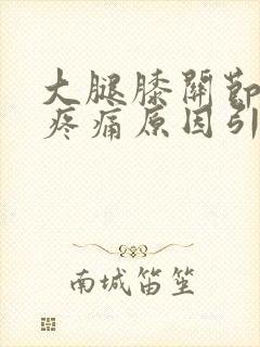 大腿膝关节内侧疼痛原因引起的封面