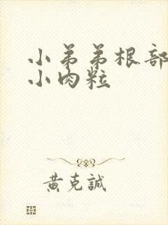 小弟弟根部长了小肉粒封面