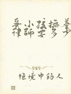 争小孩抚养权请律师要多少钱