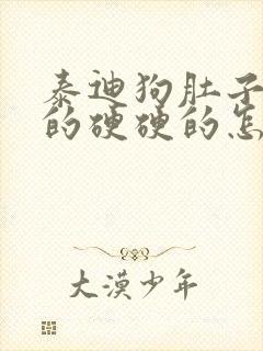 泰迪狗肚子鼓鼓的硬硬的怎么回事?封面