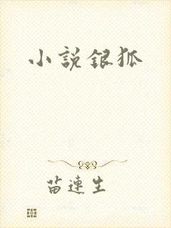 小说银狐封面