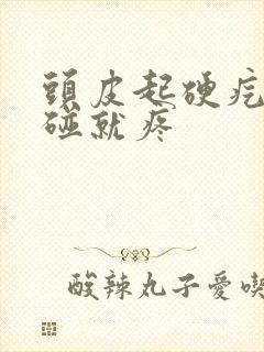 头皮起硬疙瘩一碰就疼封面