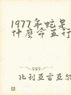 1977年蛇是什么命五行属什么封面