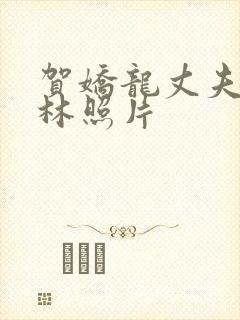 贺娇龙丈夫李建林照片封面