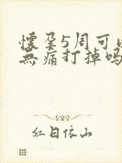 怀孕5周可以做无痛打掉吗