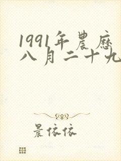 1991年农历八月二十九生的人命运