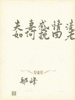 夫妻感情淡了 如何挽回老公的心封面