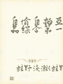 自偷自拍亚洲精品综合第一页