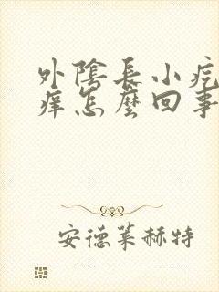 外阴长小疙瘩痒痒怎么回事