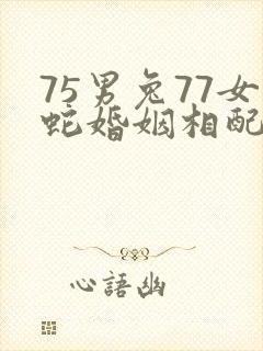75男兔77女蛇婚姻相配吗封面