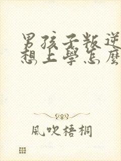 男孩子叛逆期不想上学怎么办