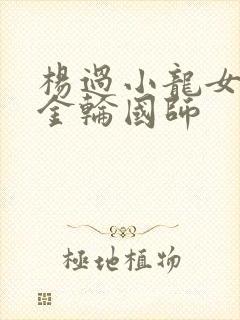 杨过小龙女大战金轮国师