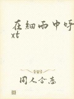 在细雨中呼喊txt