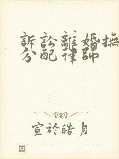 诉讼离婚抚养权分配律师