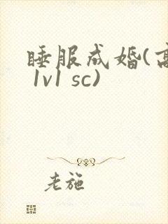 睡服成婚(高h 1v1 sc)